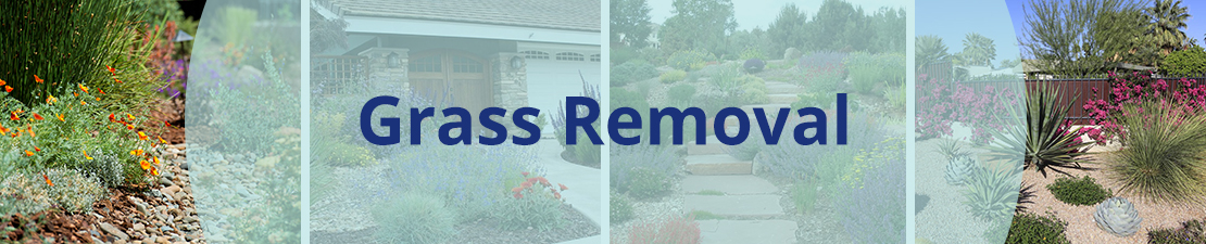 Grass removal rebate